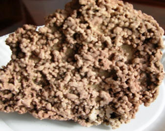 Pink Coral Fossils