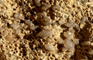 Fossil Crystals